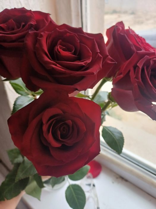 Цветы букеты ,очень красывые и огромные