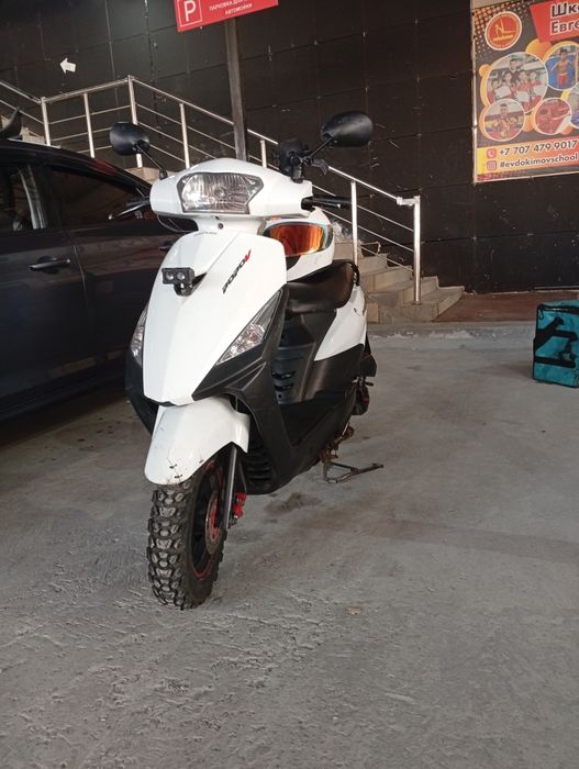 Дайанг 49куб 2023