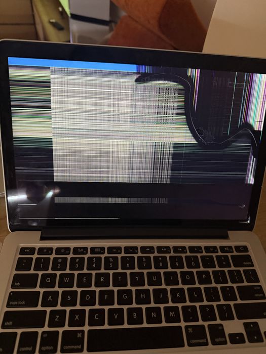 Apple MacBook Pro (display spart)