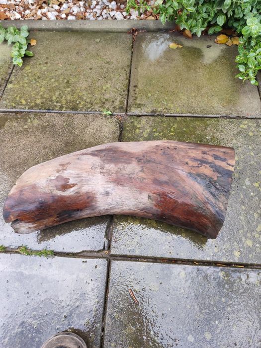 Lemn decor pentru acvariu