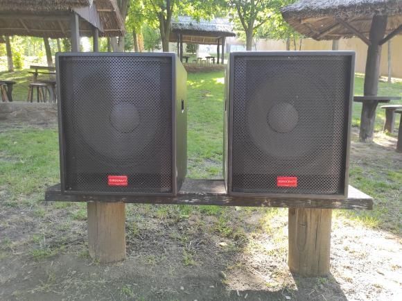 Vand doi basi de 18  Putere 800 RMS
