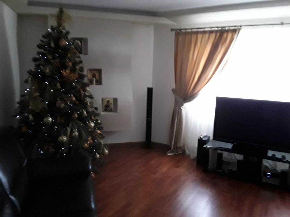 Brad de Craciun cu accesorii incluse