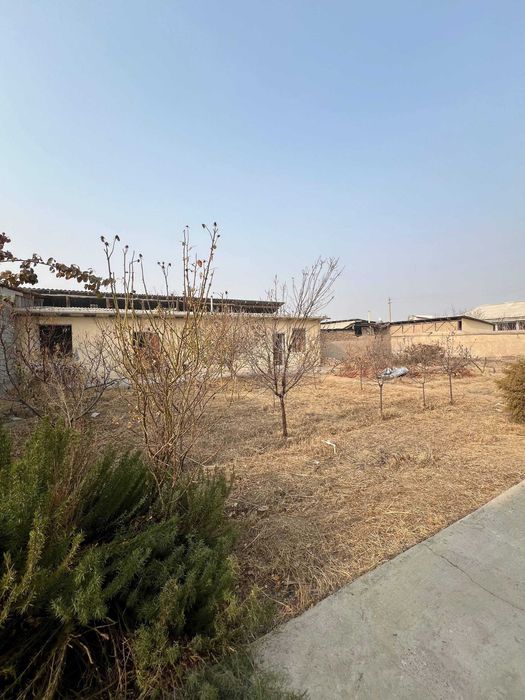 Фарғона шаҳар Садвин Савхоз