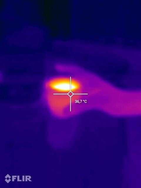 Blackview BV6600 Pro FLIR thermal camera