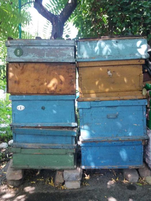 Надставки и корпуса к ульям