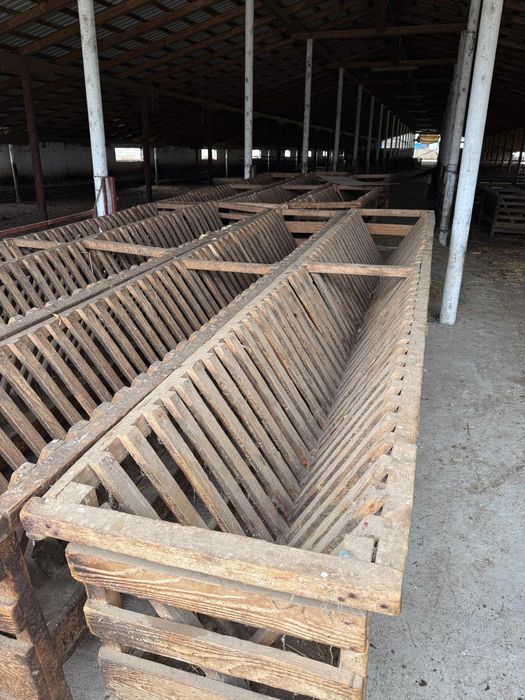 Hrănitoare pentru oi