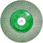 Disc diamantat lamelar slefuire placi granulatie 60 Ø115mm Raimondi