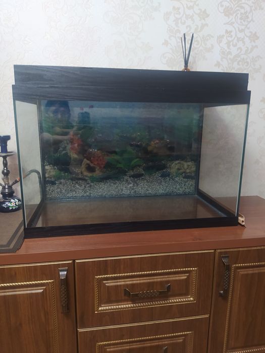 Аквариум для рыбок