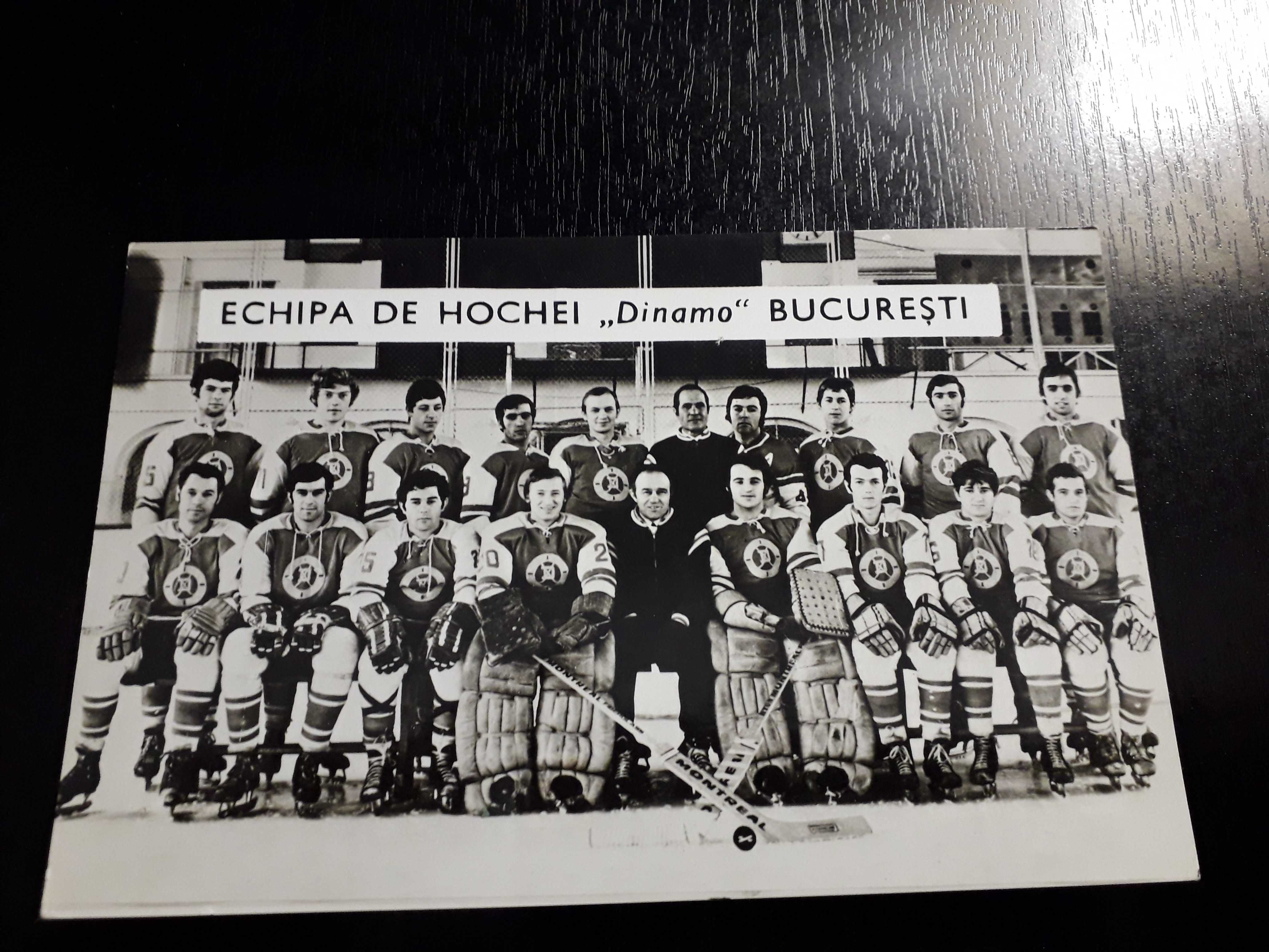 cp echipa hochei dinamo bucuresti