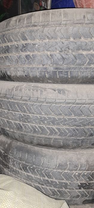 Avtoshina charmhoo nomli