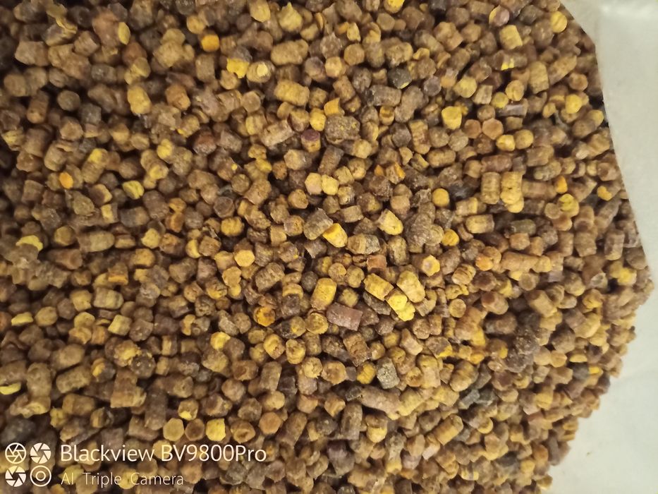 Пчелен прашец. Пчелен мед. Пчелна пита. Перга