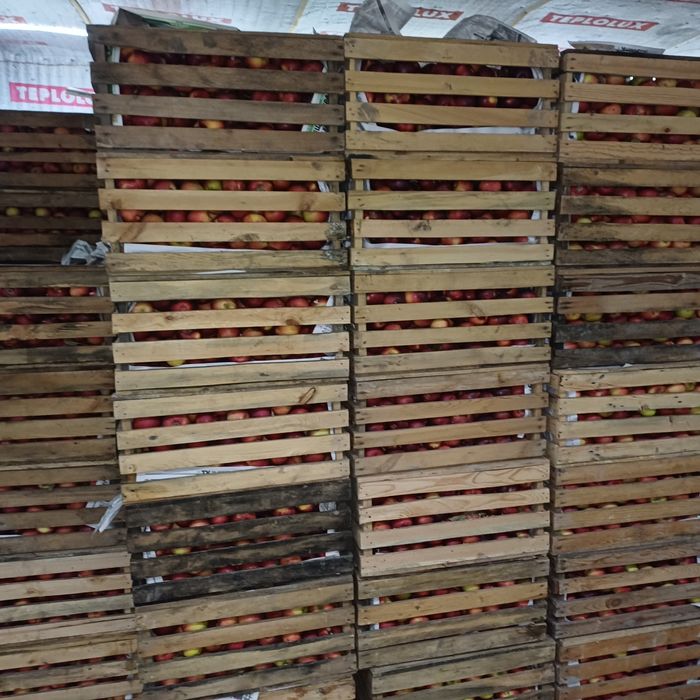 Продам яблоки 1 сорт.