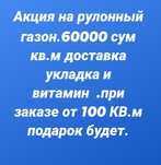 Акция рулонный газон по супер цене.