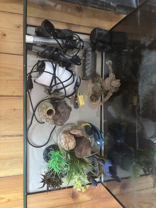 Аквариум 60 л със всичко налично