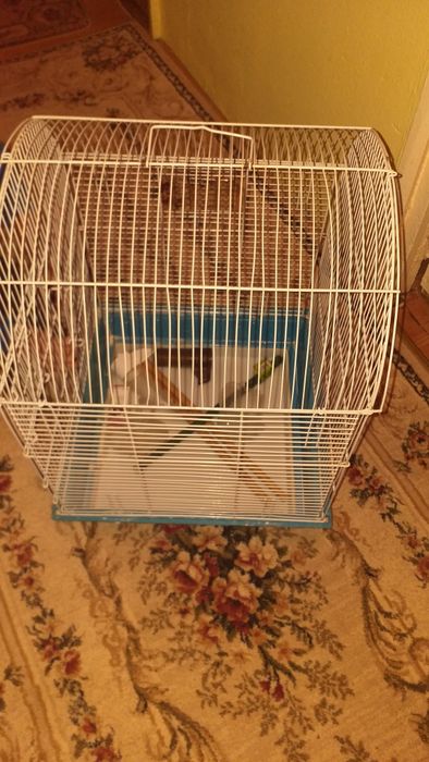 Cușca  peruș 100 lei