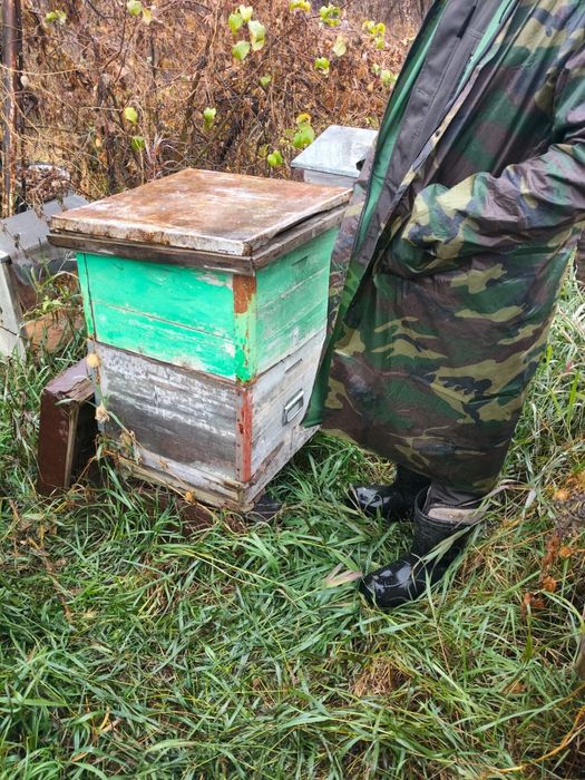 Продаются пчелиные ульи с рамками, в хорошем состоянии