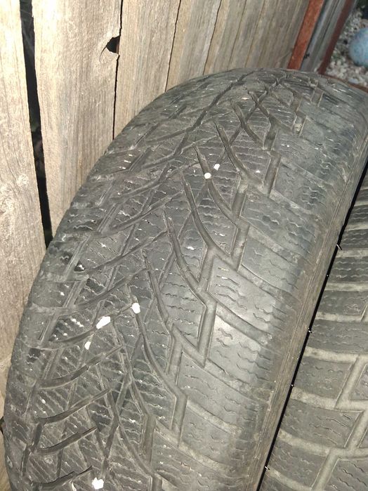 Caiciucuri r16 de vanzare