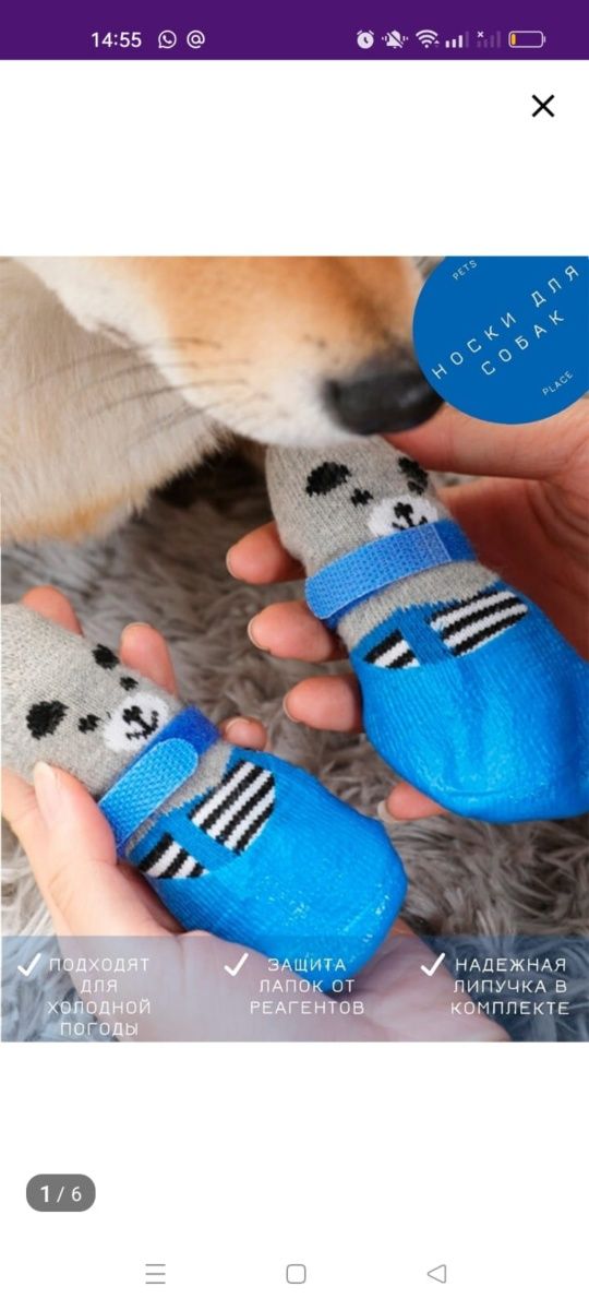 Продам носочки для собак либо для кошек на липучке