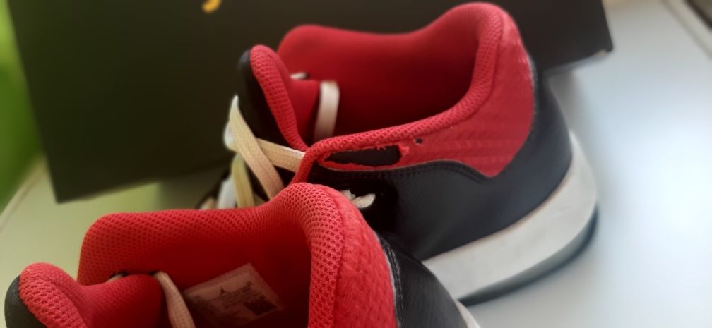 Nike Jordan 42.5