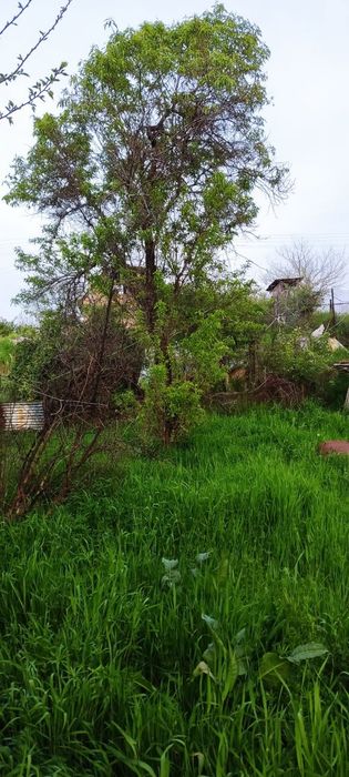 Дача сотилади Продаю свою дачу