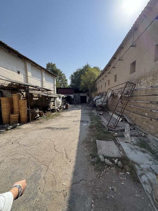 Участок, ТТЗ Базар, Коксарой, 23 сотки