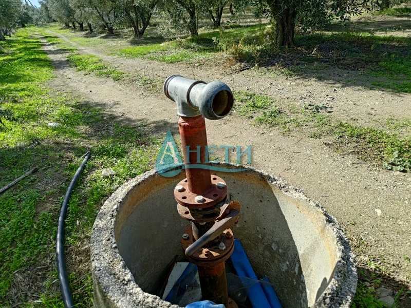 Парцел 2500м2+119маслинови дървета Волви Аспровалта Гърция, полив.с-ма