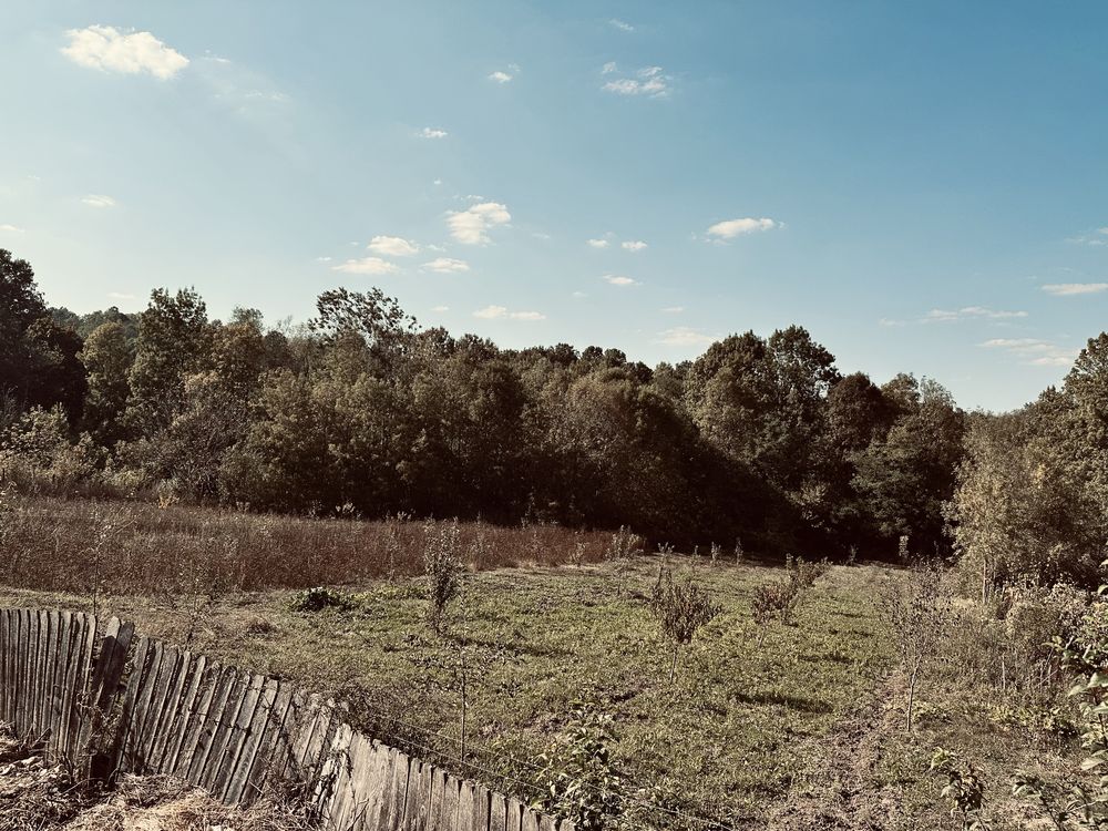 Teren de vanzare intravilan