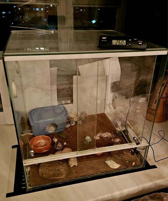 Террариум для рептилий