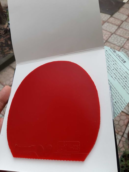 Butterfly Dignics 05