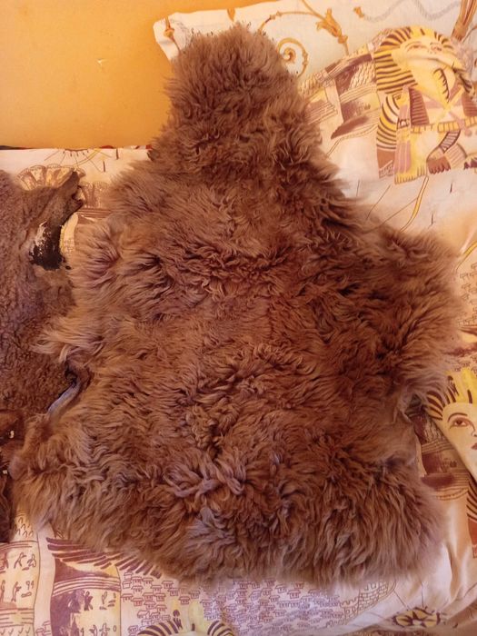 Овчи кожи,ръчно щавени.