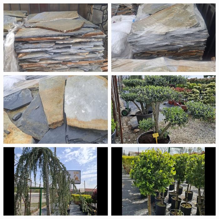 Vând piatra naturala asiguram montaj și transport în toată tara