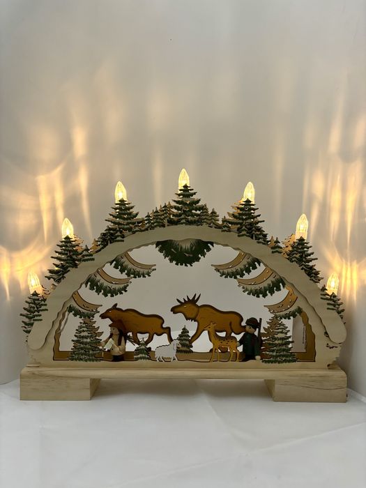 Decoratiune Craciun Led