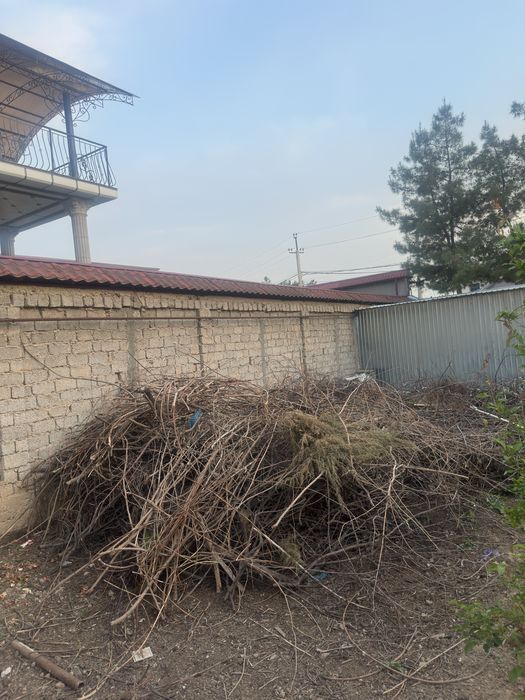 Утин бор сотилади келишамиз