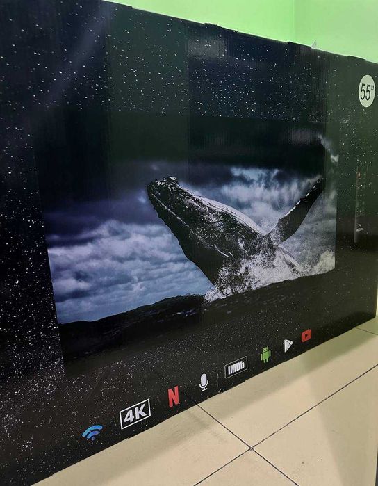 REIZUN Smart-tv 55д-140см (Шымкент мкр Спортивный 6 лот 765516)