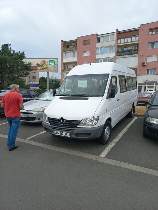 Sprinter 313 persoane