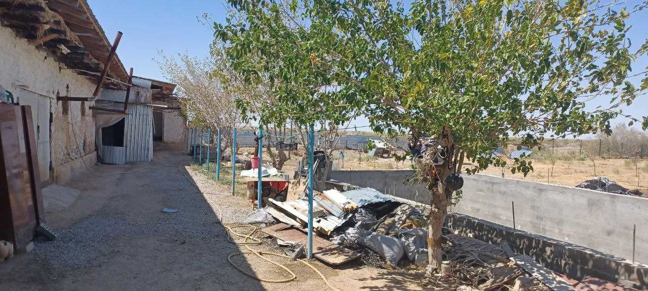 DACHA sotiladi srochniga 1gektar bog'i ham bor Aurumda joylashgan.