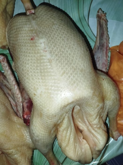 Продам мясо молодых гусей,