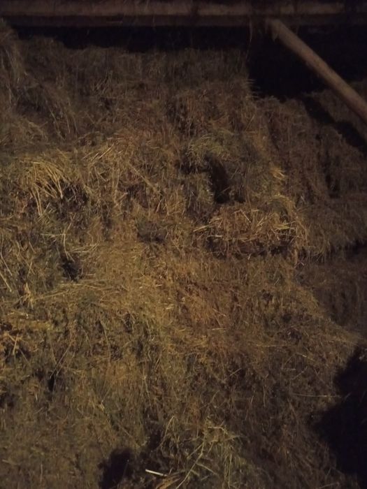 Baloți de lucernă  și fan