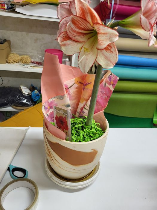 Цветя онлайн  или на място  -ул.Кричим 20