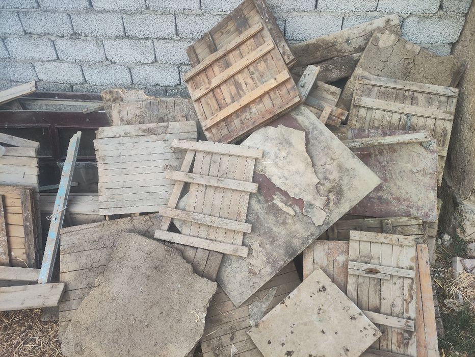 Tekin otinlar kimga kerak bolsa