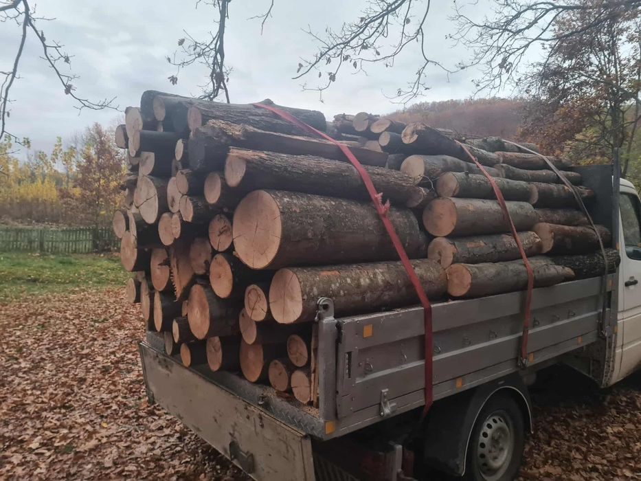 Vand lemne transport gratuit