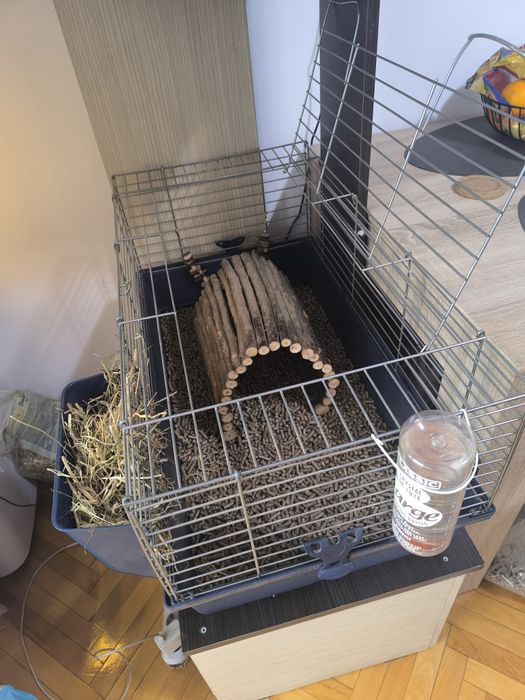 Porcușori de Guineea+ cușcă