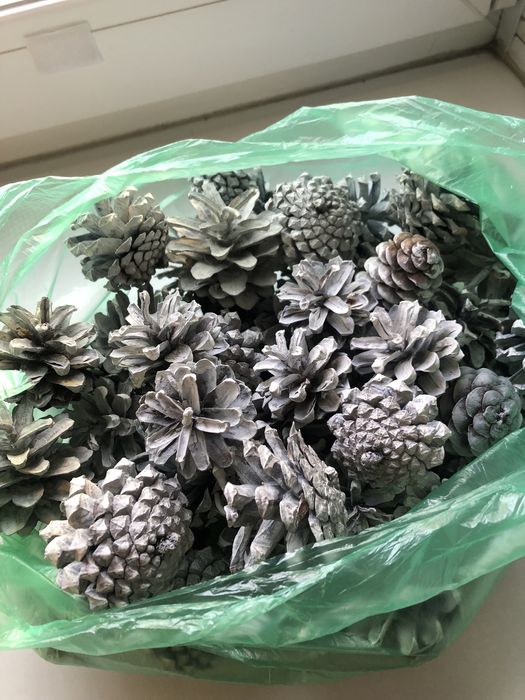 Шишки для дизайна  поделок