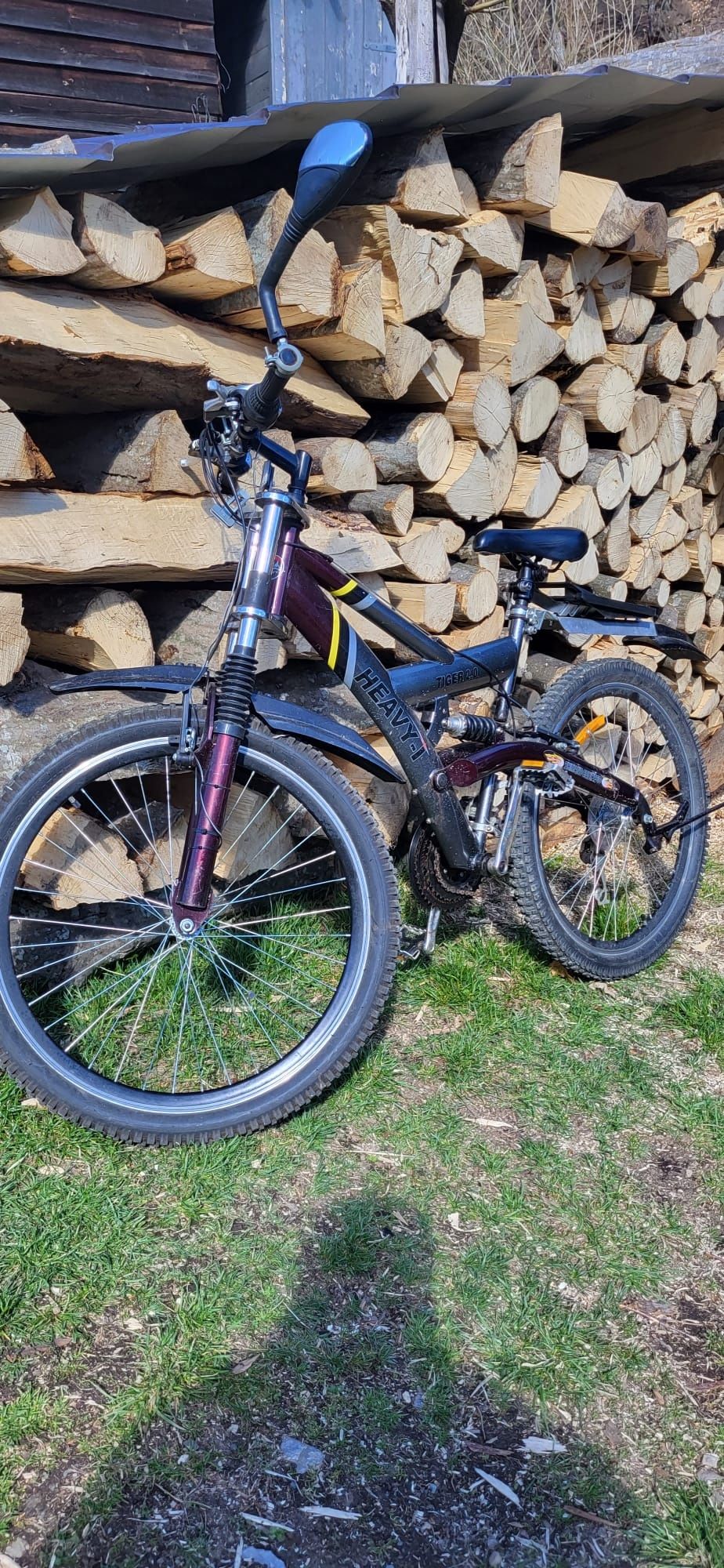 Vând triciclu electric și bicicleta