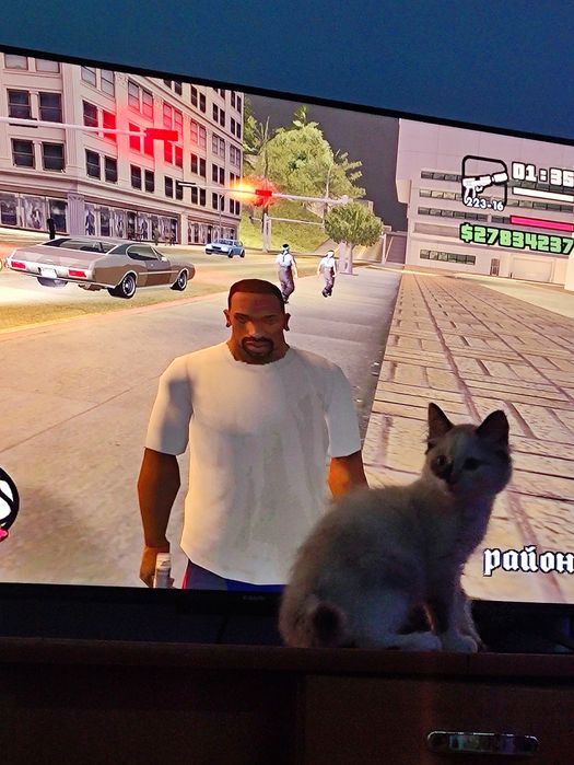 Отдам котенка в хорошие и добрые руки