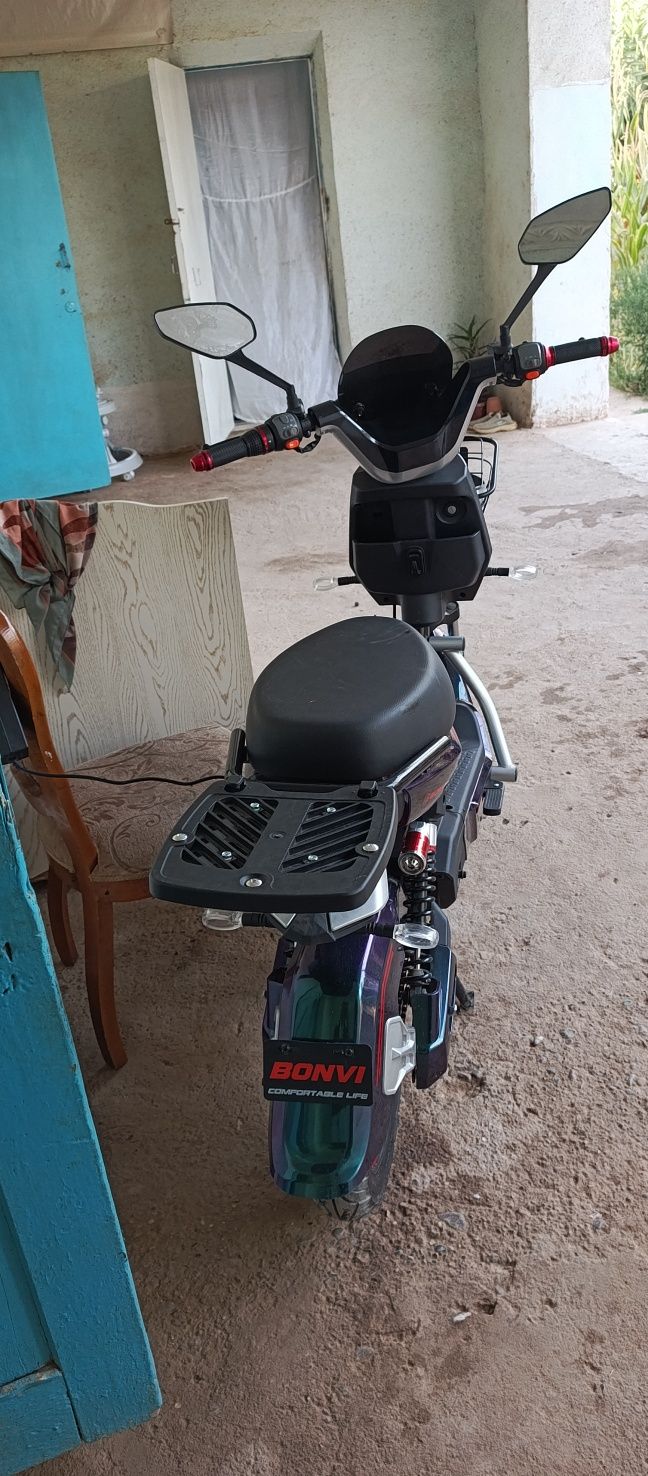 Yangi olingan 10 kun xaydalgan