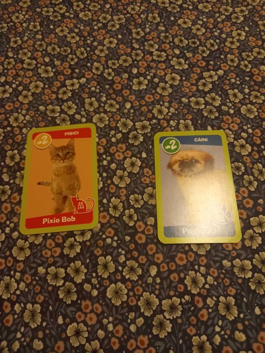 Gradinita de animale