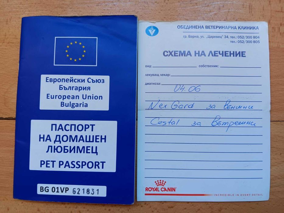 подарявам куче на име рекси