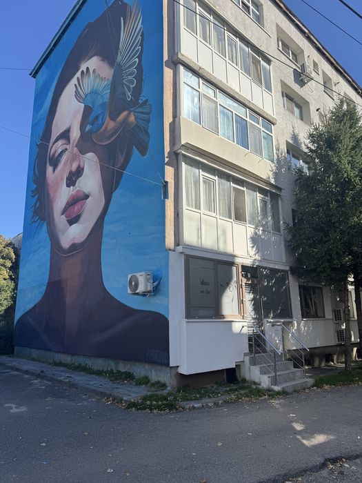 Inchiriere 1 post  coafor / make-up Bacau