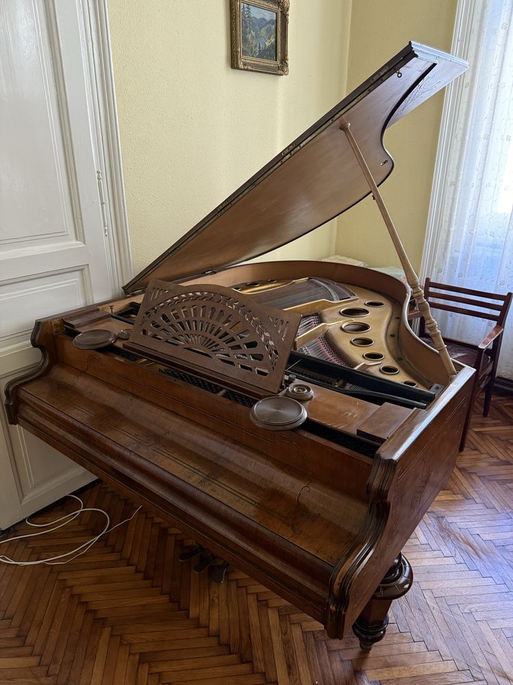 Gran Piano Remenyi Mihaly Budapest